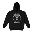 Moletom Masculino canguru -Academia Aesthetic Perfection 2023